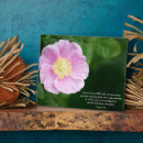 Recherche de proverbes plaques Écriture