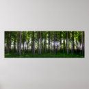 Search for protected posters Forest