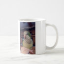 Recherche de perruches tasses Jaune