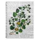 Search for veggie notebooks Steampunk