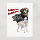 Search for retriever” postcards Black lab