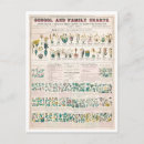 Recherche de botanique vintage cartes postales Jardinage