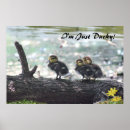 Search for 36x24 posters Nature