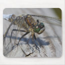 Search for damselfly mousepads Dragonflies