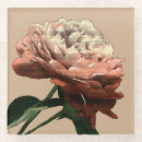 Search for red rose coasters Botanical