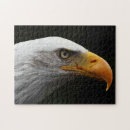 Recherche de aigle noir puzzles Sauvage