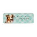 Search for australian shepherd return address labels Blue