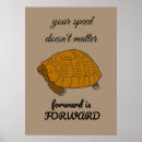 Search for turtle quotes art Typography