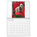 Recherche de basset calendriers Chiot