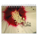 Search for plants calendars Botanical