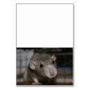 Recherche de de photographie cartes table Pour tous