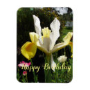 Recherche de rayure jaune magnets Pour elle