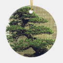 Search for white pine ornaments Tree