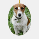 Search for jack russell ornaments Terrier