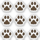 Search for brown cat Veterinarian