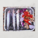 Recherche de maquereaux cartes postales Poisson