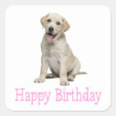 Search for yellow lab stickers Cute puppy
