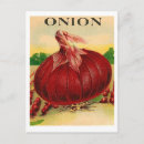 Recherche de oignon cartes postales Jardin