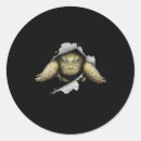 Search for turtle love stickers Tortoise