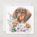 Search for wieners cards For her