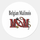 Search for belgian malinois gear stickers Pets
