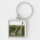 Search for rural scene keychains Outdoors