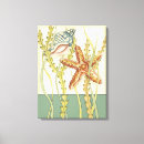 Search for large wall canvas prints Conch seashell