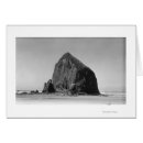 Recherche de canon photographie Collection