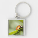 Search for ladybird keychains Wildlife