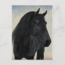 Search for friesian postcards Stallion