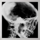 Search for black and white skull posters Creepy