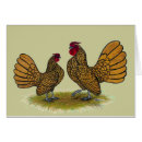 Search for sebright bantam Bird