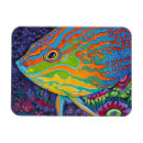 Recherche de sealife Animals