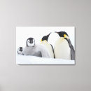 Search for four animals canvas prints Full length