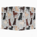 Search for retriever binders Chocolate lab