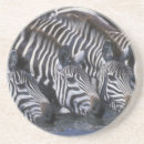 Search for reserve coasters Nature