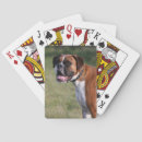 Recherche de boxer jeux de cartes Dog