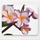Search for lei electronics Plumeria