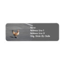 Search for crossing return address labels Rooster
