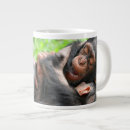 Search for chimpanzees mugs Monkey
