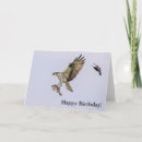 Search for osprey bird cards Animal