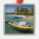 Search for clear ornaments Beach