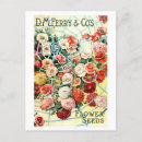 Search for flower seeds postcards Vintage