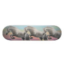 Search for pony skateboards Equestrian