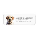Search for labrador retrievers return address labels Yellow lab