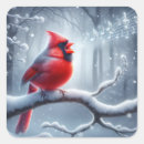 Search for cardinal in the snow stickers Snowflake