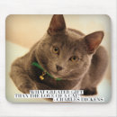 Search for loves kittens electronics Kitty