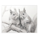 Recherche de écureuils blocsnotes Dessin