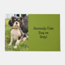 Search for cavalier king charles spaniel doormats Photography