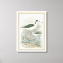 Recherche de aviaire art Nature